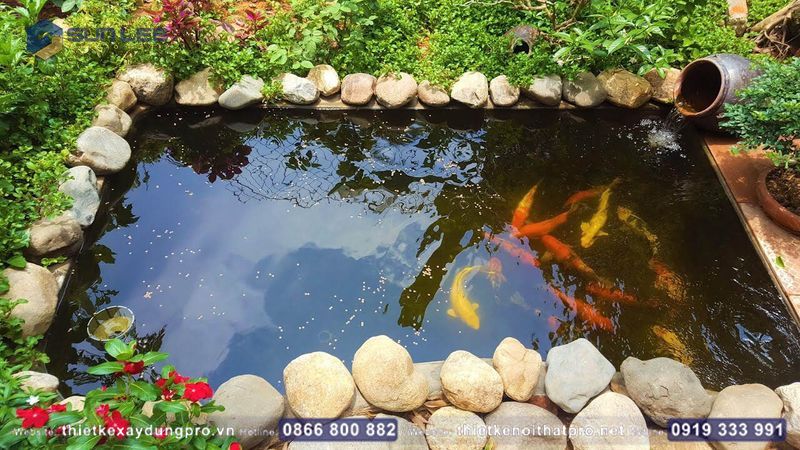 ban-ve-ho-ca-koi205